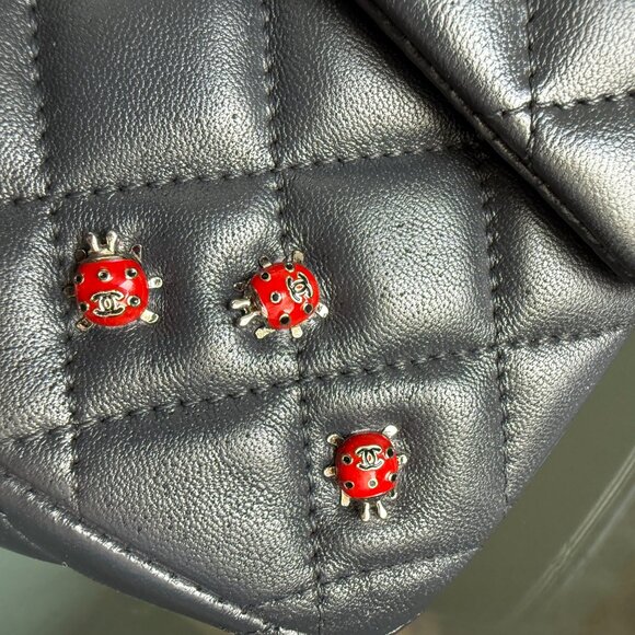 CHANEL Ladybug Classic Flap Bag - Picture 7 of 12